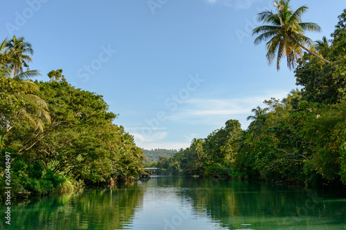 Jungle river in the tropical forest 