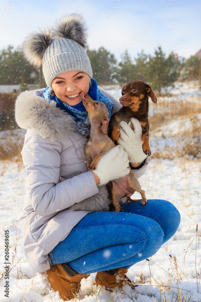 Obraz premium Woman playing with dogs during winter