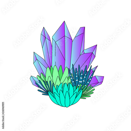 Line art succulents and crystals