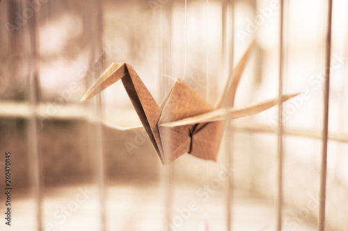 Folded origami bird in cage