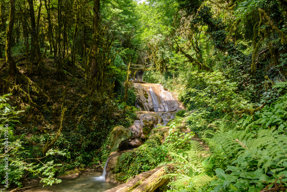 Beautiful tropical waterfall in rainforest. Relict forest in Sochi National Park, Russia Beautiful tropical waterfall in rainforest. Relict forest in Sochi National Park, Russia