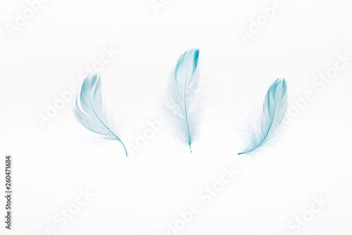 blue lightweight three feathers isolated on white