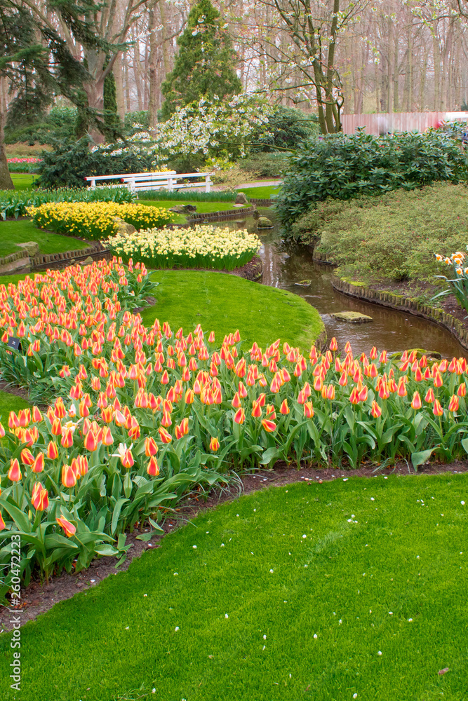 background, beautiful, beauty, blossom, bright, color, colorful, creek, design, field, flower, freshness, garden, grass, green, holland, istanbul, keukenhof, landscape, lisse, mainstream, may, narciss