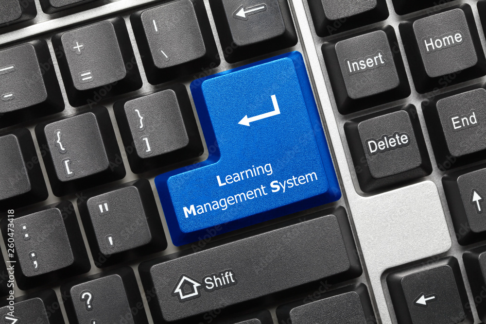Conceptual keyboard - Learning Management System (blue key) Conceptual keyboard - Learning Management System (blue key)