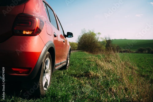 Slika na platnu red car is staying on the grass