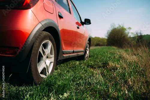 Slika na platnu red car is staying on the grass