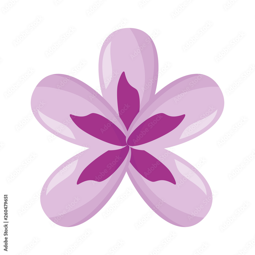 delicate flower decoration delicate flower decoration