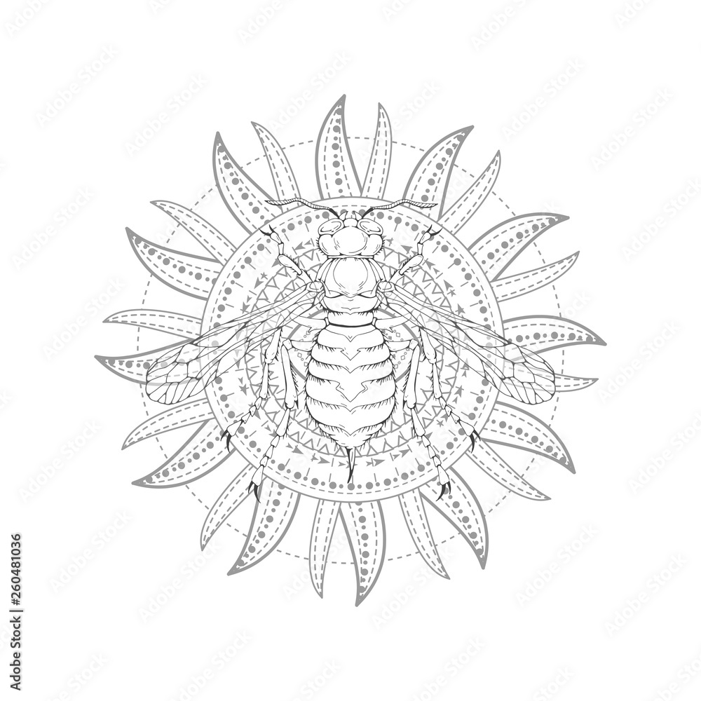 Vector illustration with hand drawn wasp and Sacred symbol on white background. Abstract mystic sign.