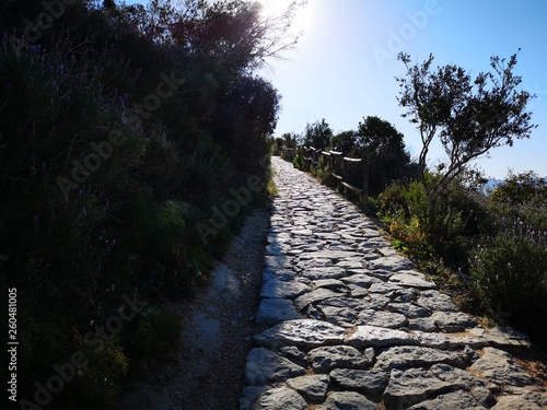 hiking road to mountain