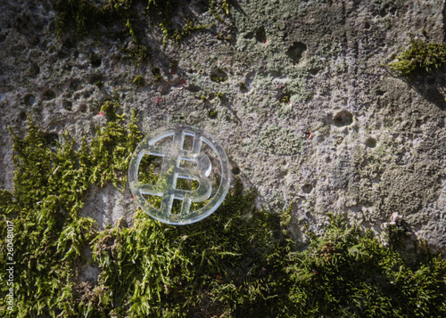 Clear plastic custom bit coin in nature
