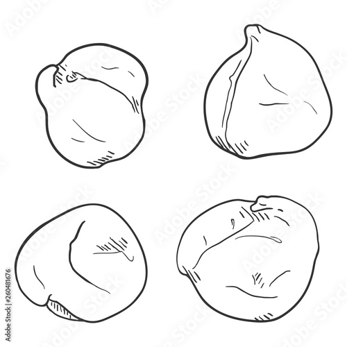 Vector Set of Sketch Chickpea