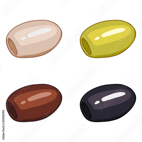 Vector Cartoon Color Olives