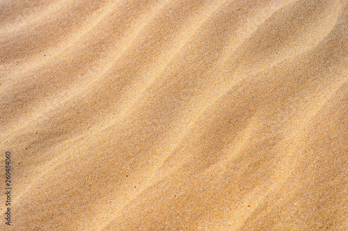 Cross lines of the folden sand