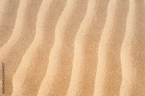 Brown texture of sand