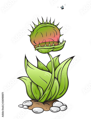 Venus fly trap eat. catches a fly. Isolated white background creative high quality Vector EPS 10