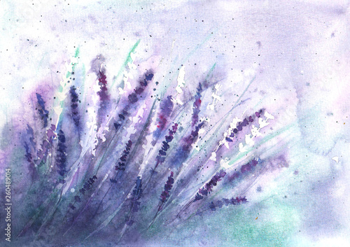 Lavender field background. ...