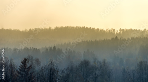 Ascent of the fog from the Harz mountains in the early morning, intentionally blurred