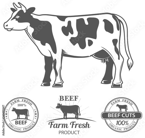 logos for butcher shop and graphic outline cow