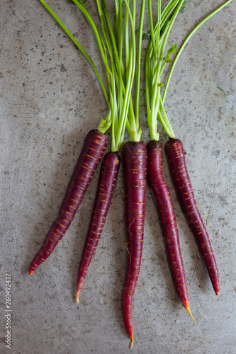 Overhead View of a Bunch of Purple Carrots on Gray Surface