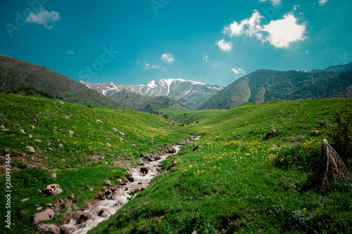 Spring Mountain Landscape