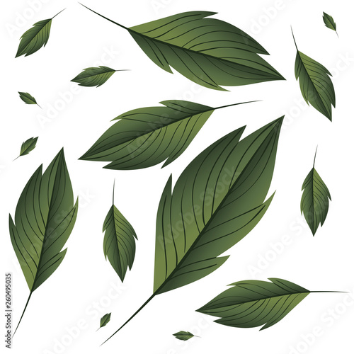 pattern of branch and leaf icon © grgroup
