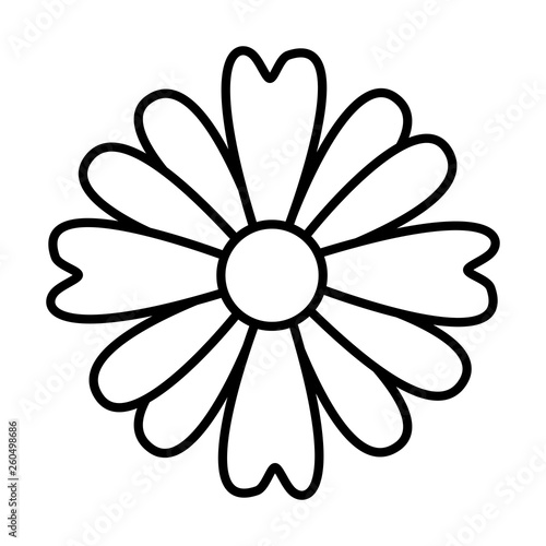 flower nature decoration