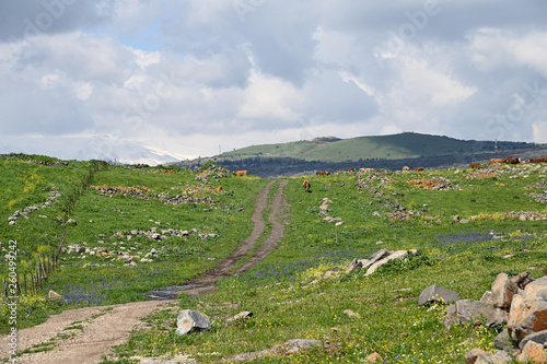 Tableau sur toile Golan Heights, Israel