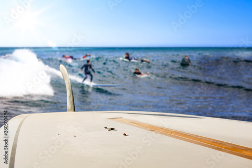 Surfer board of free space for your decoration and summer time 