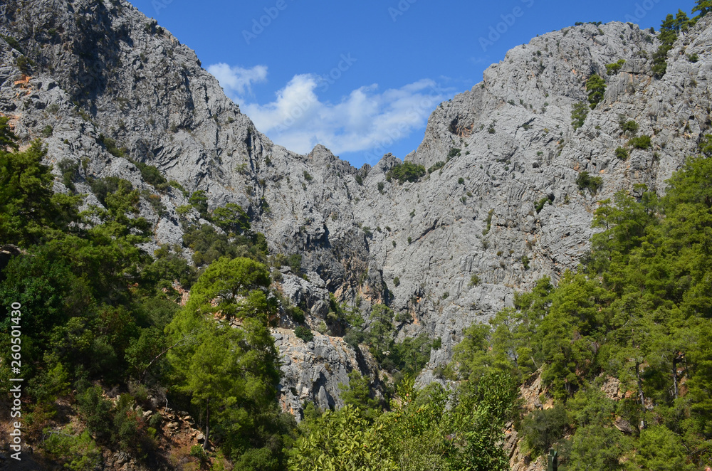 Panorama of the mountains, overgrown with trees, against the background of the summer blue sky in Goynuk canyon