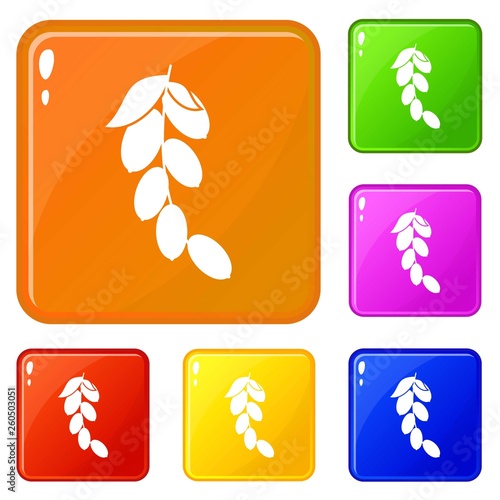 Branch of cornel or dogwood berries icons set collection vector 6 color isolated on white background