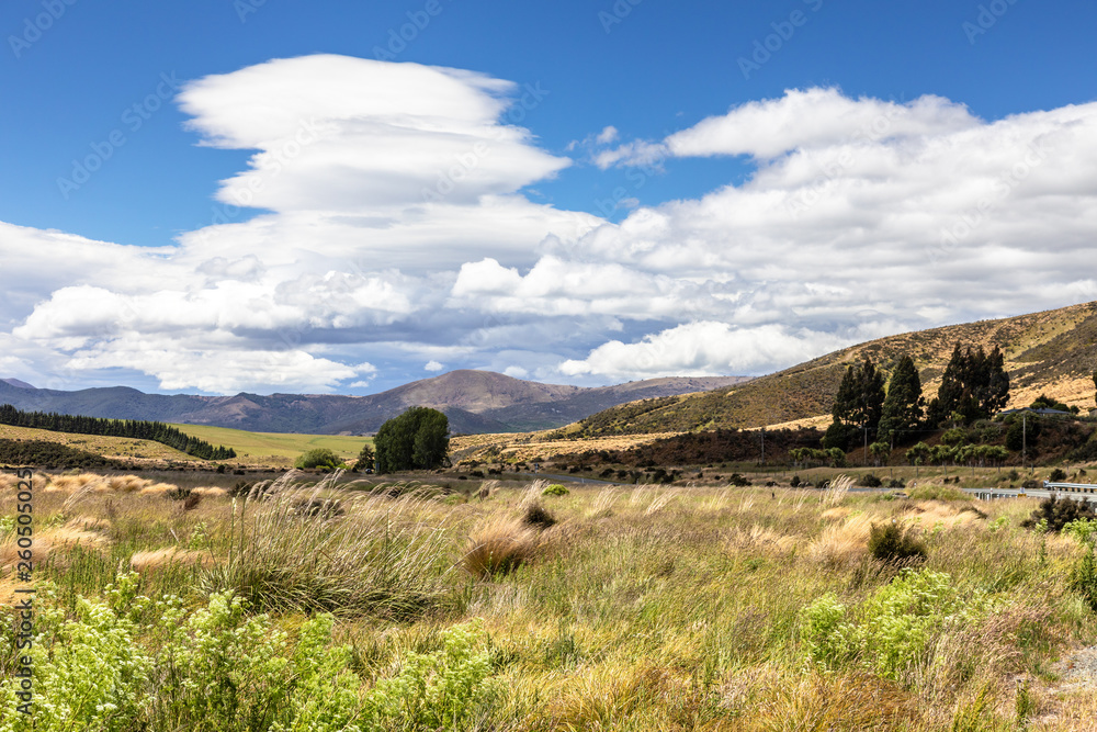 Obraz premium Landscape scenery in south New Zealand