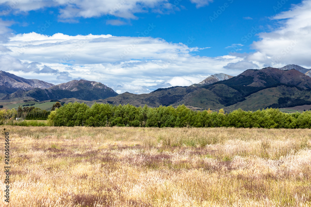 Landscape scenery in south New Zealand