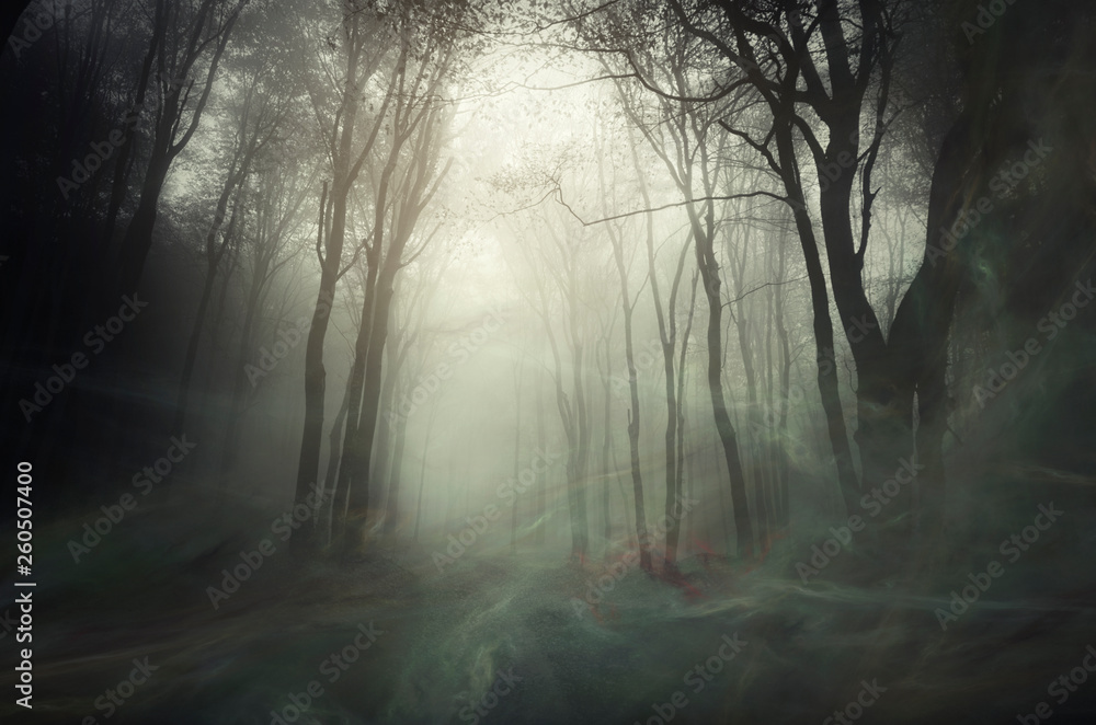 wind blowing magical dust in mysterious dark forest, fantasy background