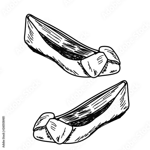 vector, isolated, sketch of shoes, ballet shoes