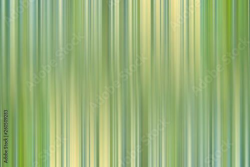 green gradient background   abstract blurry fresh green background