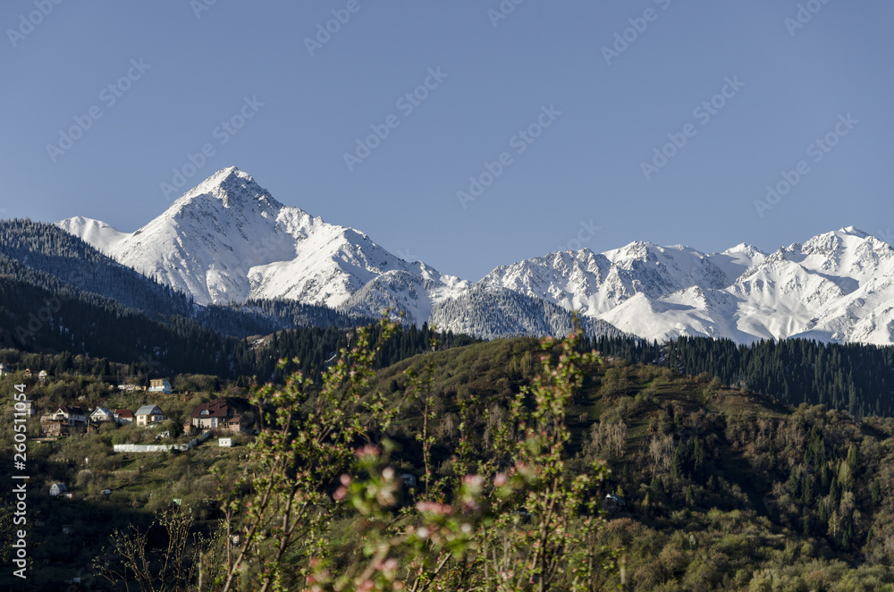 Fototapeta premium Spring in Kazakhstan. Mountain view on the horizon. At this time of year, the sky can be clear and cloudy.