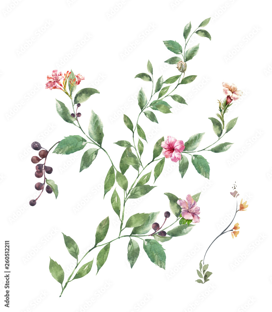 watercolor painting of leaves and flower, on white background