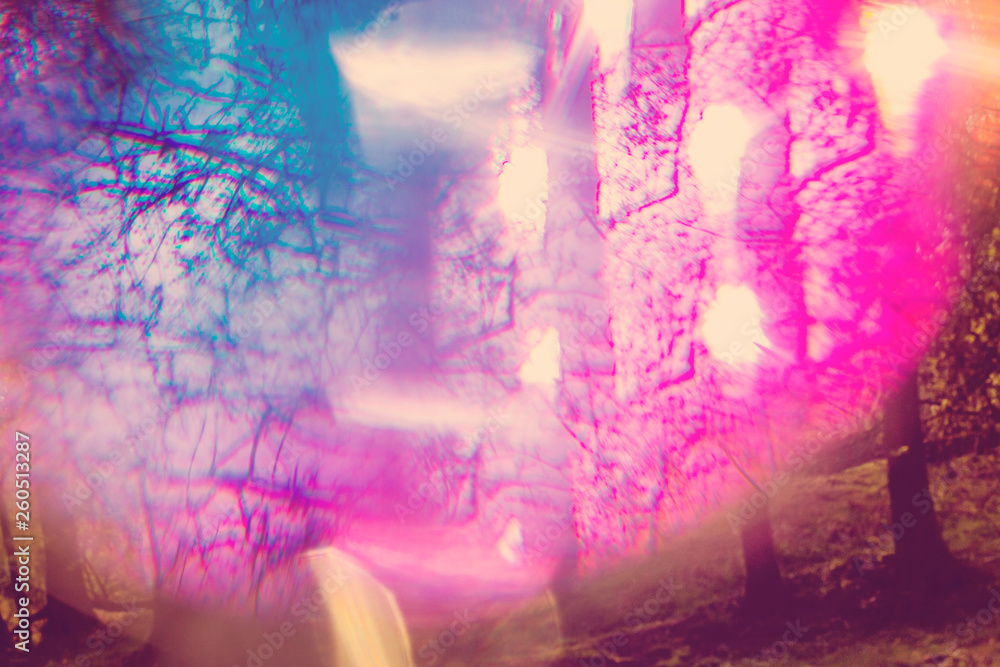 Magical hallucinogenic abstract forest with color bokeh light