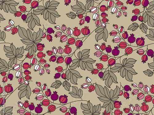 Gooseberry hand drawn outli...
