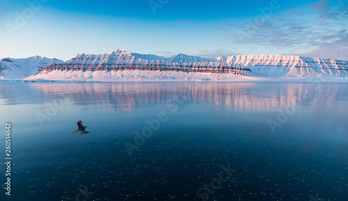 Icy landscapes and icescapes of Svalbard. photo