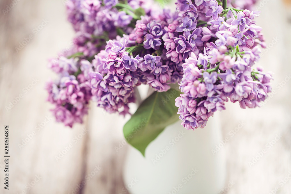 Lilac flowers in white vase Lilac flowers in white vase