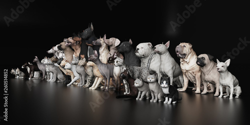 Cats sitting in front of dogs black studio 3d render photo