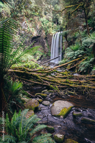 Hopetoun falls in Great Otway National park  Victoria  Australia.