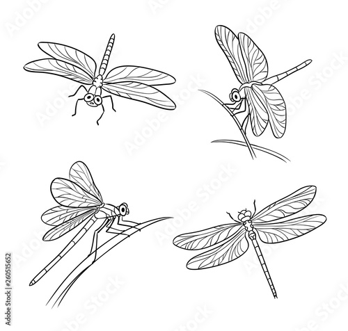 Set of different dragonflies in outlines - vector illustration