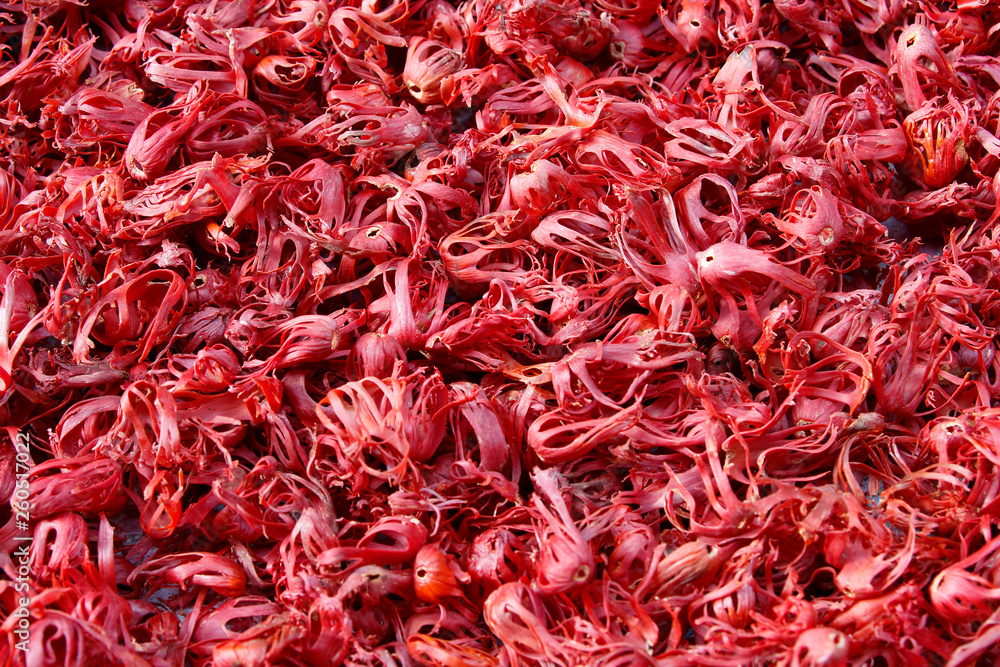 Nutmeg mace spread for drying in sunlight Nutmeg mace spread for drying in sunlight