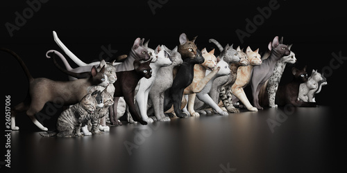 Lots of cats together in lline 3d render photo