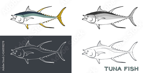 Fish isolated vector color sketch icon. Set of colored and uncolored illustrations of tuna fish. Vector illustration, various type of tuna fish
