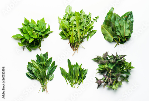 variety of wild edible plants on white background with copy space