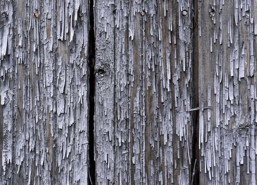 Fototapeta premium Old Wood Texture.