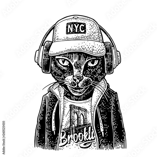 Cat to headphones dressed in the hoodie. Vintage black engraving